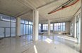 Tirane For Rent Shop  Shop at the Lake of Tirana area Office Shop