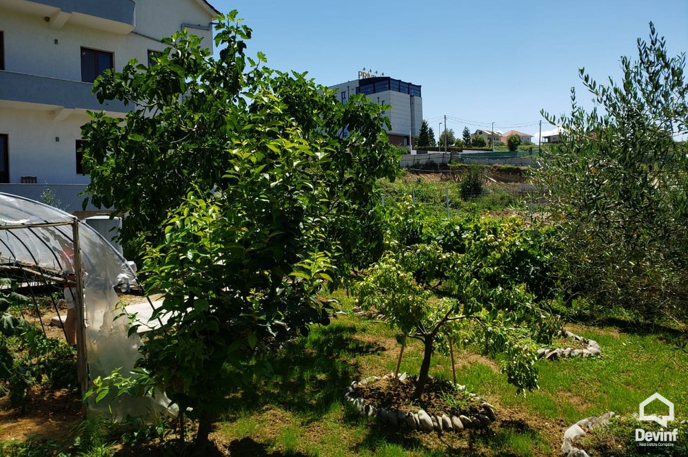 Tirane For Rent Villa  House for rent in Sauk, Tirana Office Villa