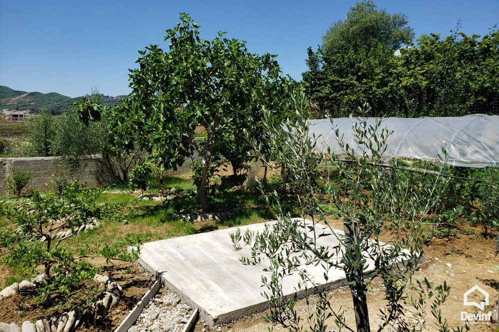 Tirane For Rent Villa  House for rent in Sauk, Tirana Office Villa