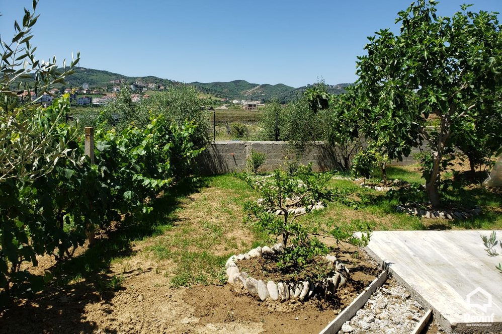 Tirane For Rent Villa  House for rent in Sauk, Tirana Office Villa