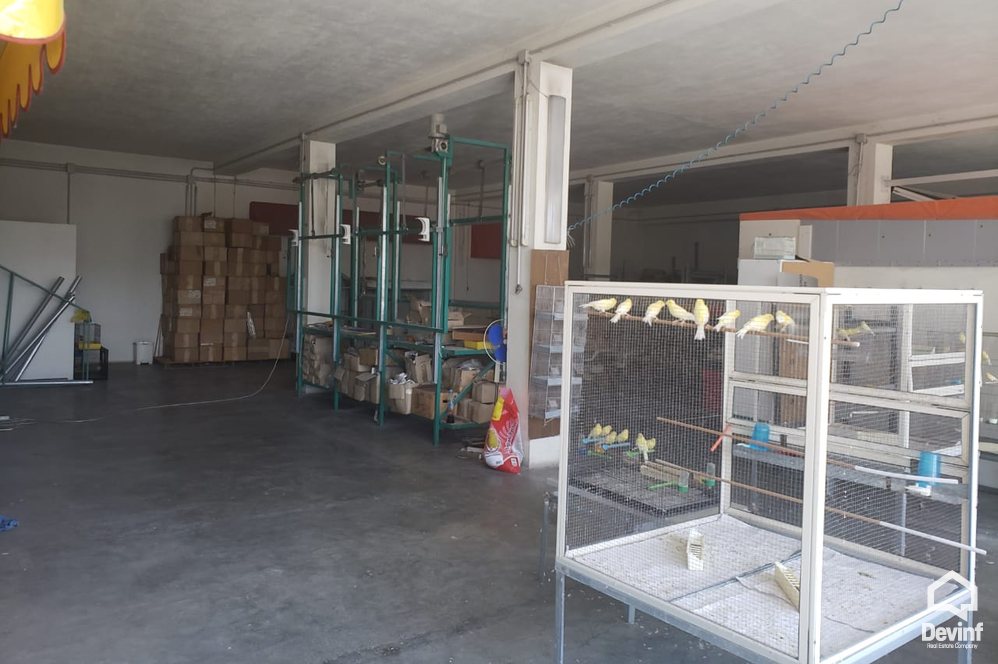 Tirane For Rent Warehouse  A warehouse in Siri Kodra Street Warehouse Fabrication Multifunctional Building industri