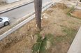 Durres Shitje Vile 2+1+A Kompleks i ri rezidencial ne Gjirin e Lalezit apartament vile bregdet kompleks rezidencial