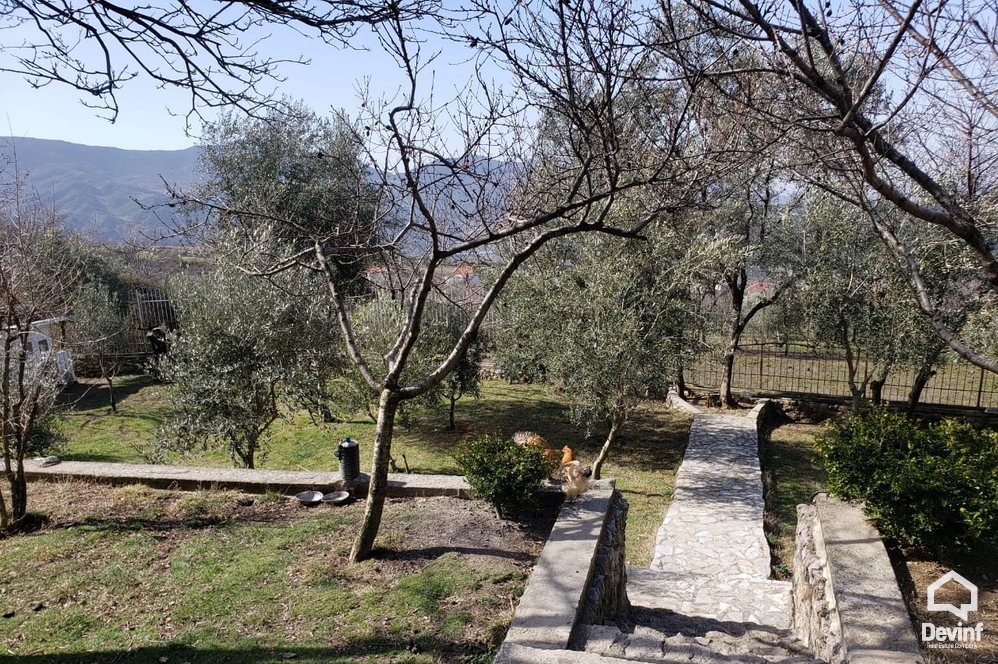 Tirane For Sale Villa 3+1+A Pellumbas area Villa