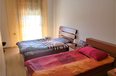 Me Qera Apartment 2 bedrooms + livingroom + kitchenette Apartment in the center of Tirana Tirane