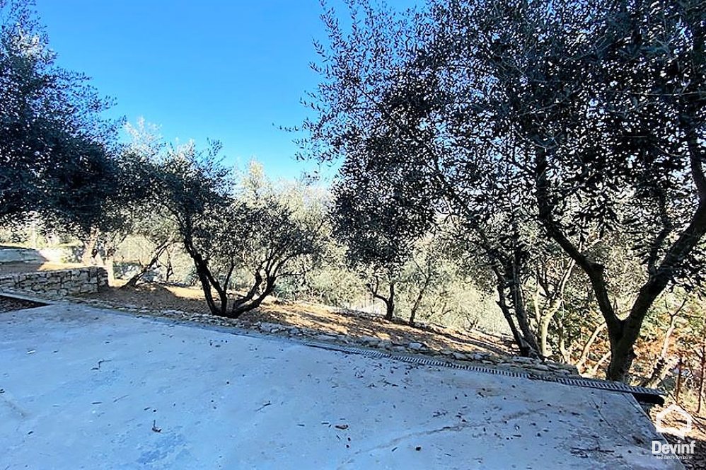 Tirane Shitje Vile  prane Qendres Tregtare TEG vile