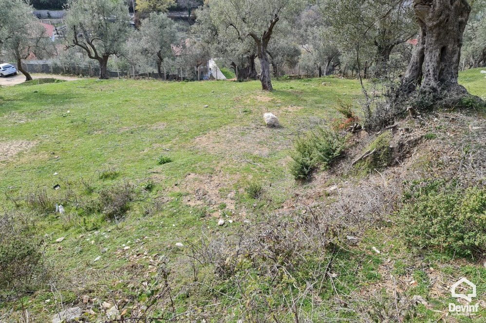 Tirane Shitje Toke  Fshati turistik i Petreles toke per ndertim toke bujqesore