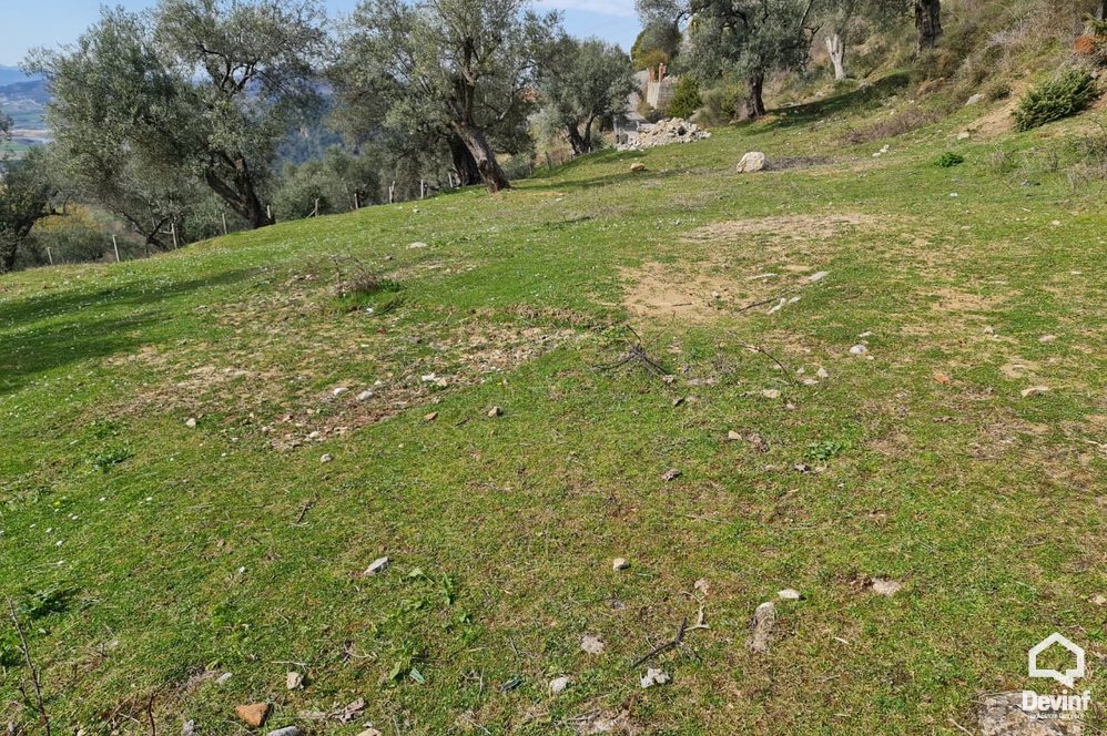 Tirane Shitje Toke  Fshati turistik i Petreles toke per ndertim toke bujqesore