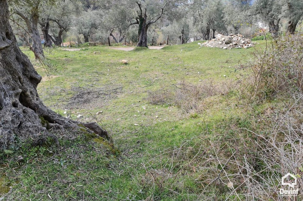 Tirane Shitje Toke  Fshati turistik i Petreles toke per ndertim toke bujqesore