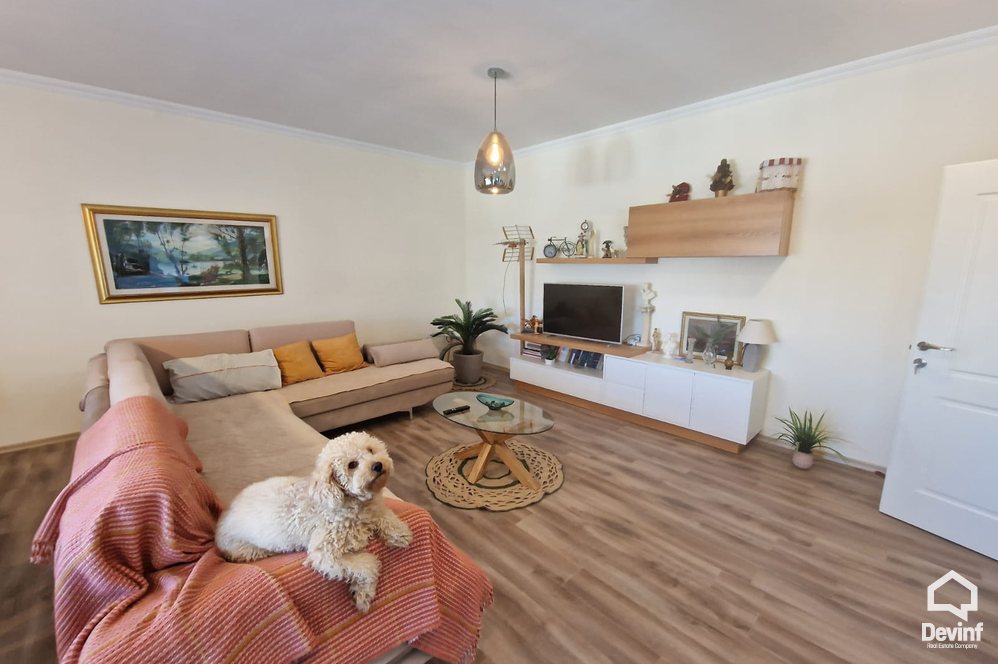 Tirane For Rent Hotel  Vaqarri street Warehouse Hotel Motel