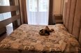 Ne Shitje Apartment 2 bedrooms + livingroom + kitchenette Residential Complex in Ndre Mjeda Street Tirane