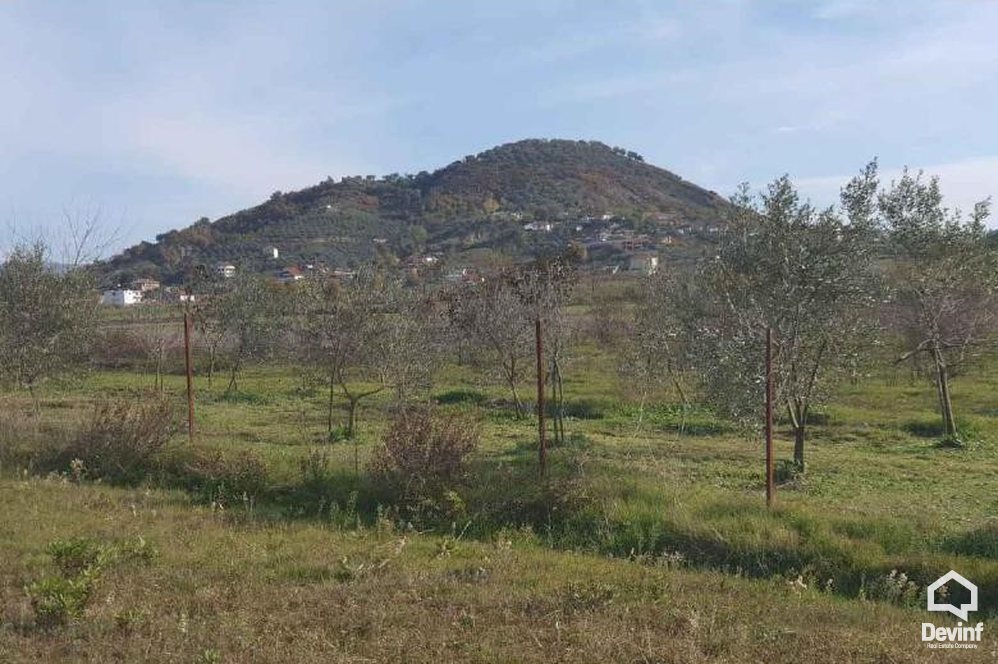 Tirane For Sale Land  Vishnje, Tirane Agricultural Land