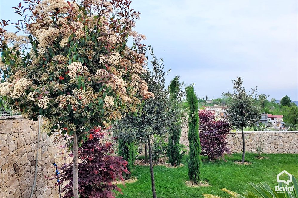 Tirane Shitje Vile  Rruga Panorama e Liqenit, Farke vile
