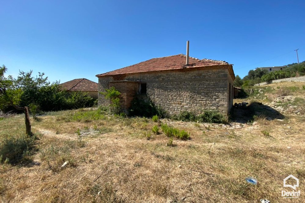 Durres Shitje Toke  Maminas, Durres toke per ndertim restorant turistike toke per agroturizem shtepi ullishte