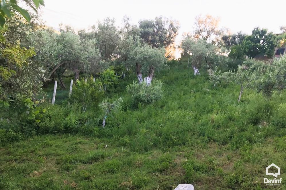 Tirane For Sale Land  The land is located in Surrel area, near the Dajt mountain.   Building Plot
