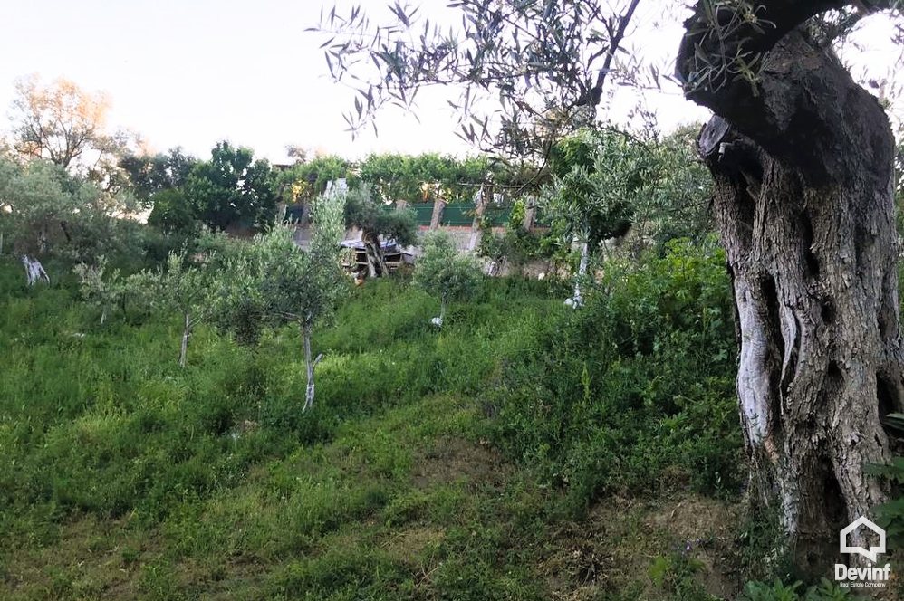 Tirane For Sale Land  The land is located in Surrel area, near the Dajt mountain.   Building Plot
