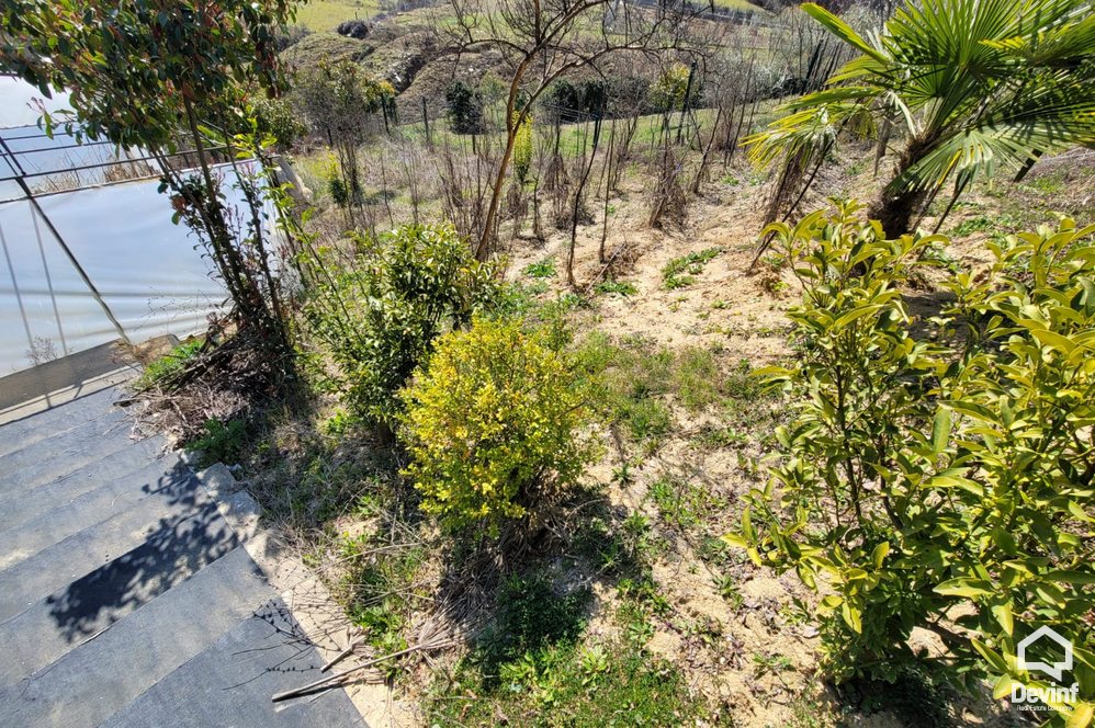 Tirane For Rent Villa Me shume se 4 dhoma Property for kindergarten in the area of Farka District  Villa