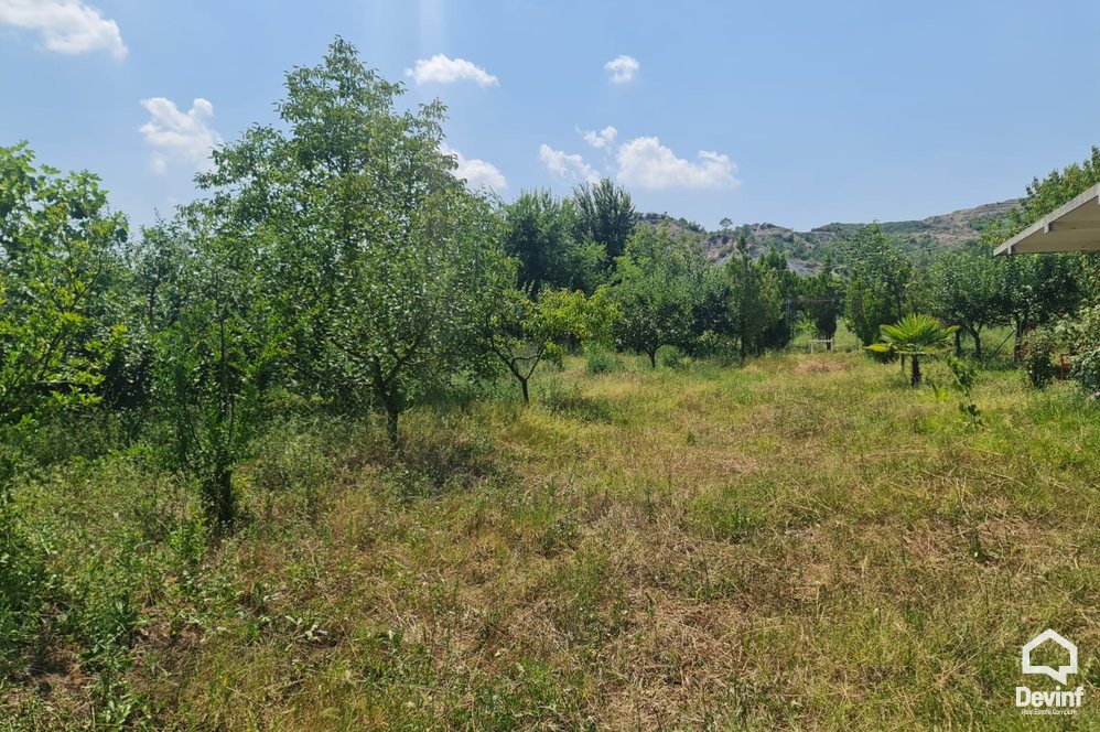 Tirane For Sale Land  Land for sale in Baldushk, Tirane Agricultural Land