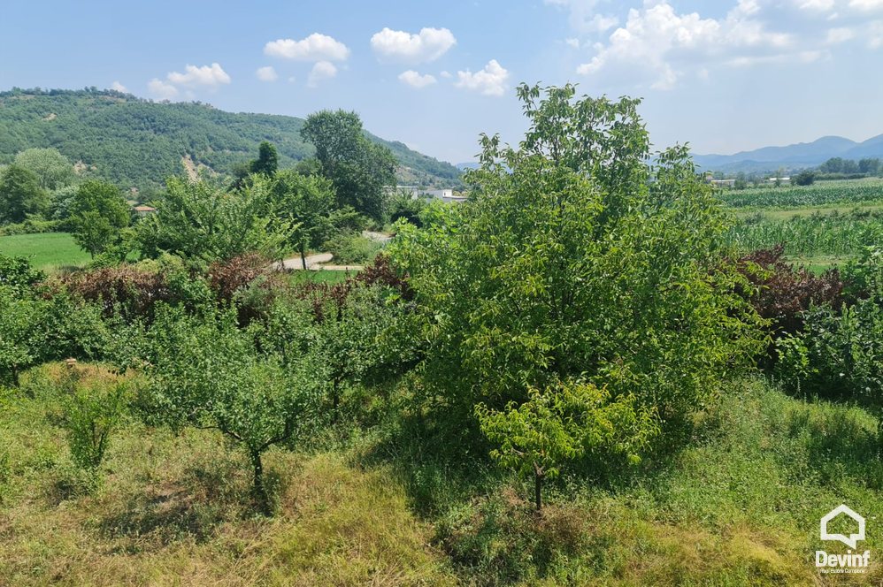 Tirane For Sale Land  Land for sale in Baldushk, Tirane Agricultural Land