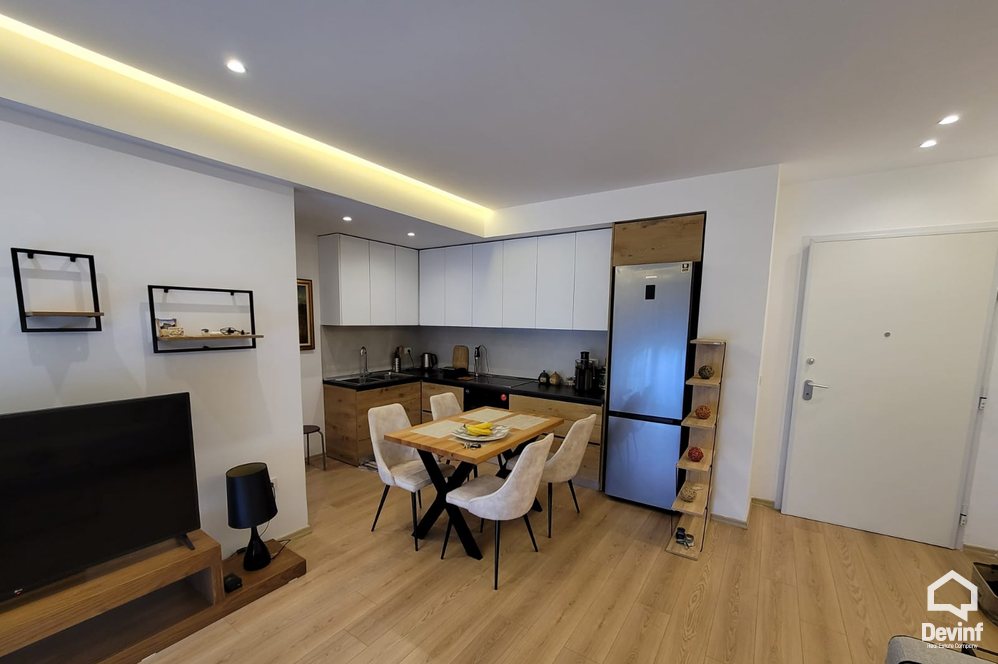 Tirane Qera Apartament 1+1+A Rruga Ali Demi, prane lulishtes apartament