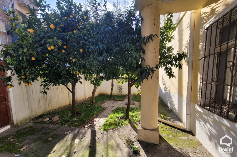 Tirane For Rent Houses 3+1+A Offices in the center of Tirana Apartment Office