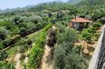 Tirane For Sale Houses  Berzhite, Tirane 