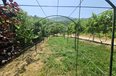 Tirane For Sale Houses  Berzhite, Tirane 