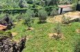 Tirane For Sale Houses  Berzhite, Tirane 