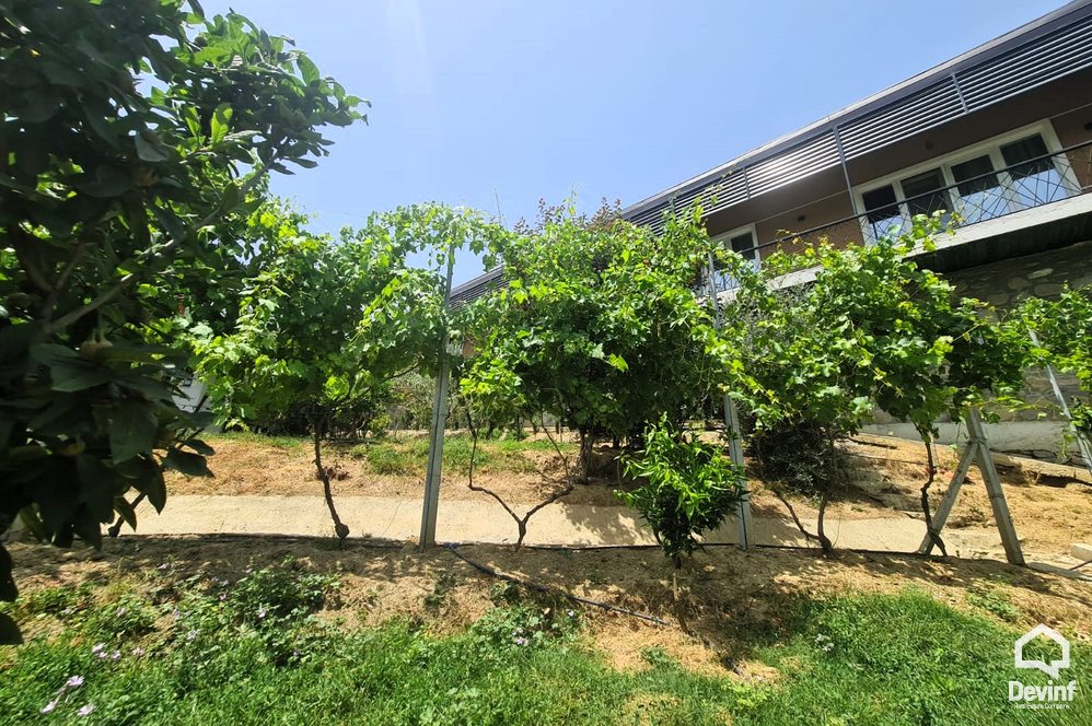 Tirane For Sale Houses  Berzhite, Tirane 