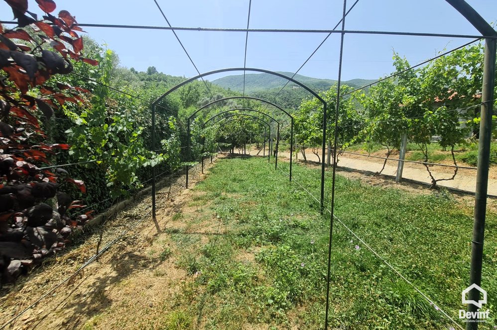 Tirane For Sale Houses  Berzhite, Tirane 