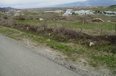 Ne Shitje Toke  Toka ndodhet  afer kompanise Alumil, prane Autostrades Tirane-Durres, ne faqe kodre dhe ne brez te dyte. Tirane