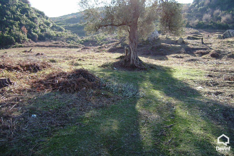 Tirane For Sale Land  The land is positioned i Berzhit village, along the way Tirane-Elbasan.  Building Plot