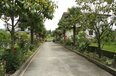 Tirane For Rent Villa Me shume House located near the Lake of Tirana 
