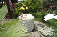 Tirane For Rent Villa Me shume House located near the Lake of Tirana 