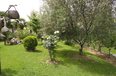 Tirane For Rent Villa Me shume House located near the Lake of Tirana 
