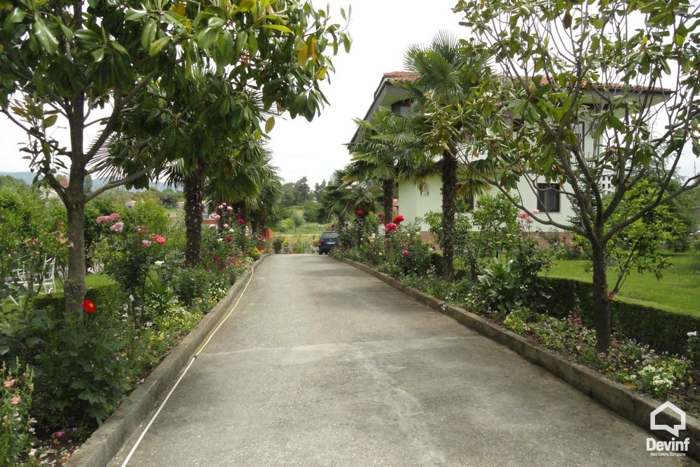 Tirane For Rent Villa Me shume House located near the Lake of Tirana 