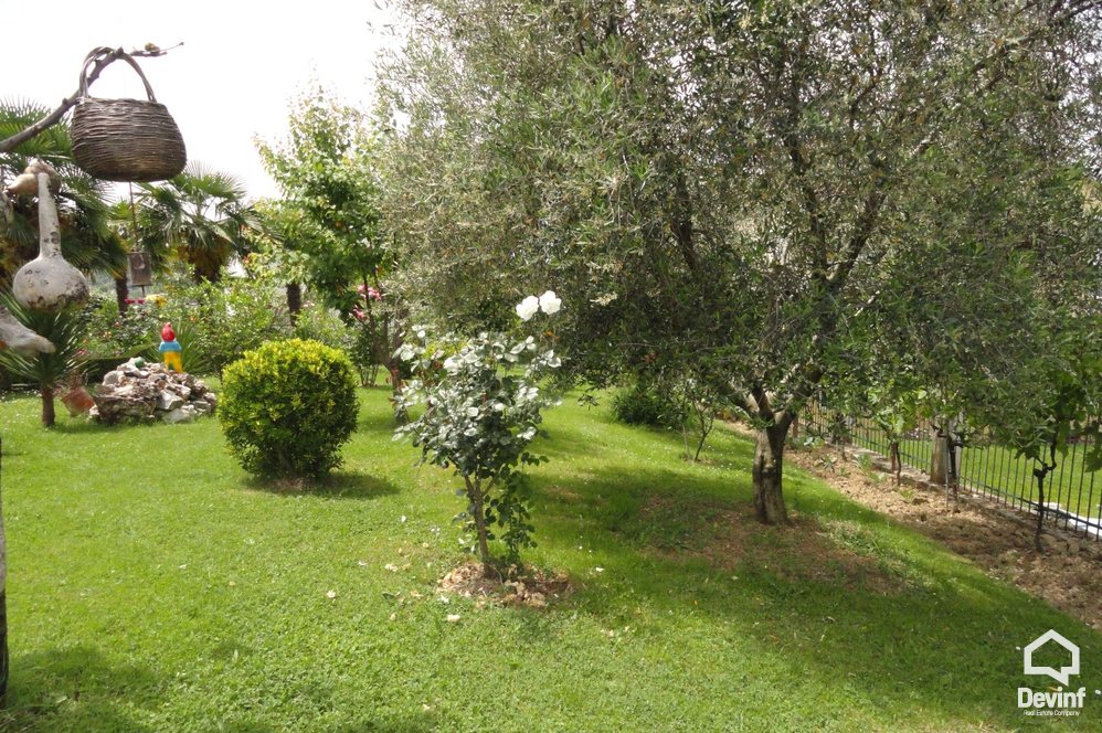 Tirane For Rent Villa Me shume House located near the Lake of Tirana 
