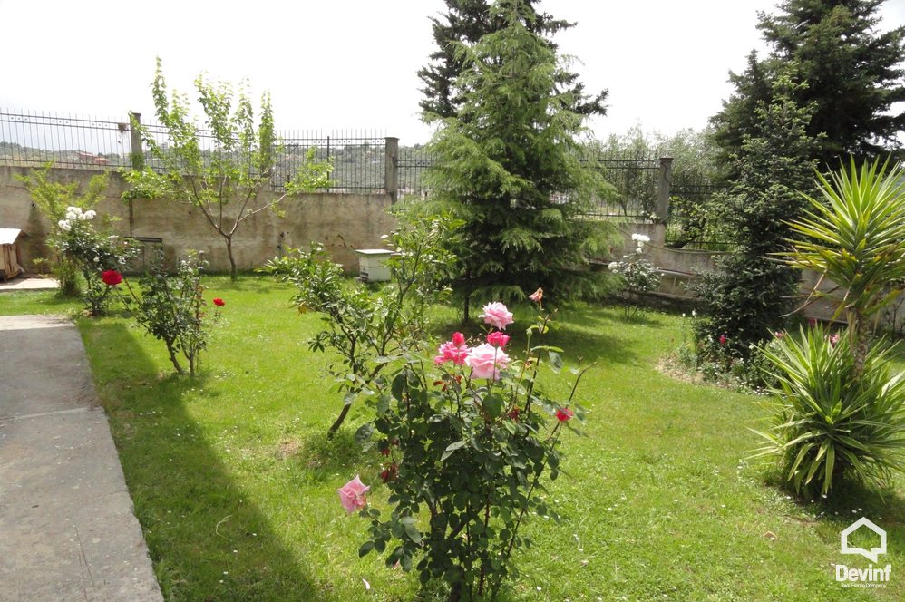 Tirane For Rent Villa Me shume House located near the Lake of Tirana 