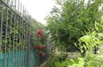 Tirane For Rent Villa  House in Str. Elbasanit 