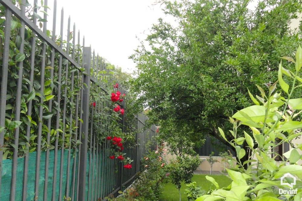 Tirane For Rent Villa  House in Str. Elbasanit 