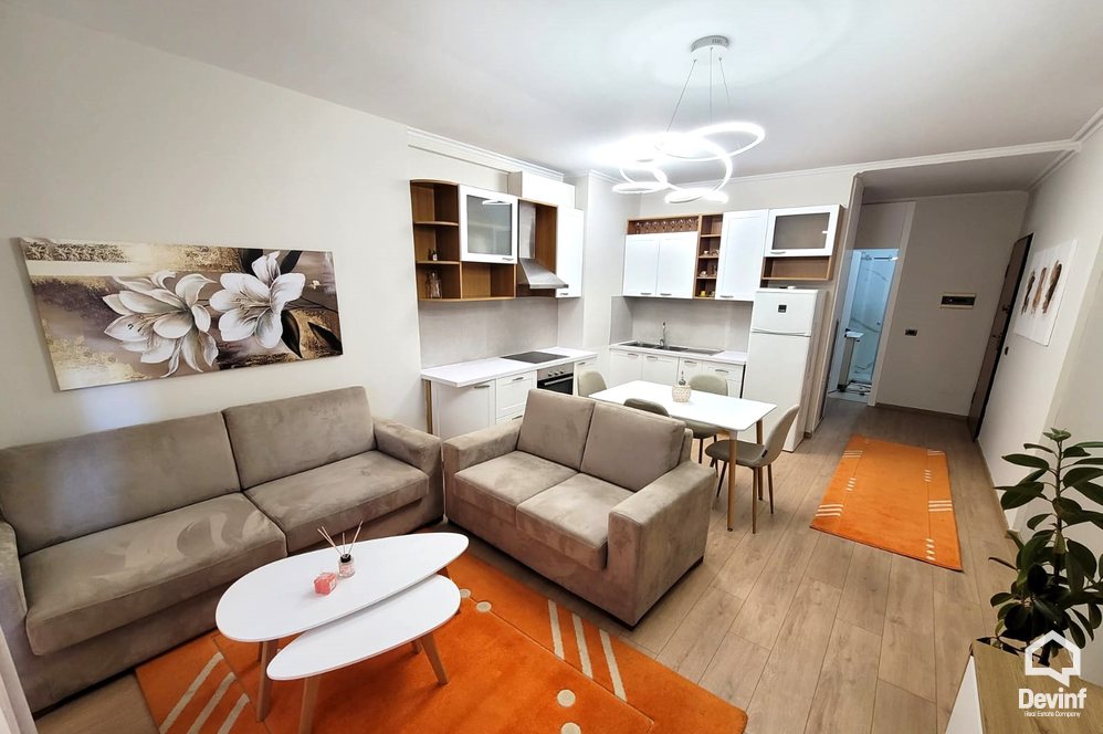 Tirane For Rent Apartment 1+1 Apartment located in the center of Tirana  Apartment