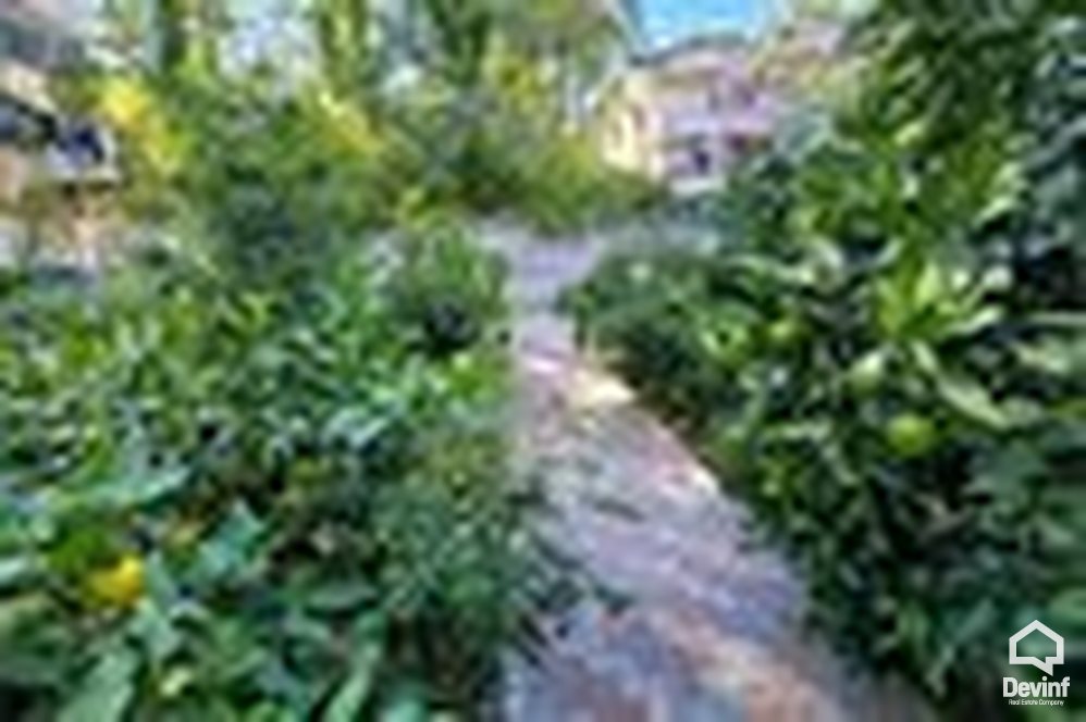 Tirane For Rent Villa Me shume se 4 dhoma Villa situated close to United States Embassy Compound area Villa