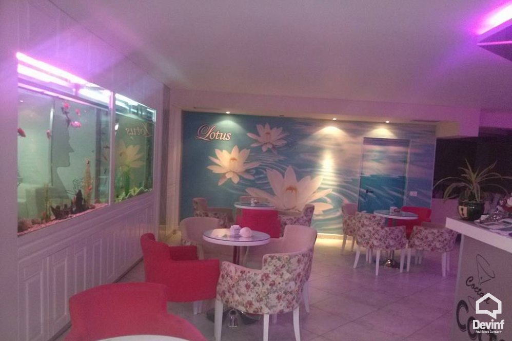 Tirane For Sale Bar-Restaurant  Kavaja Road 