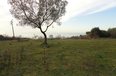 Durres For Sale Land  The land is positioned near Durres-Kavaja highway Coast Land