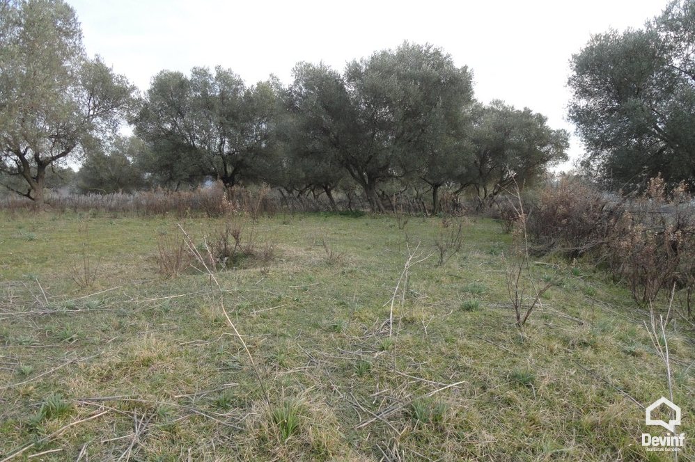 Durres For Sale Land  The land is positioned near Durres-Kavaja highway Coast Land