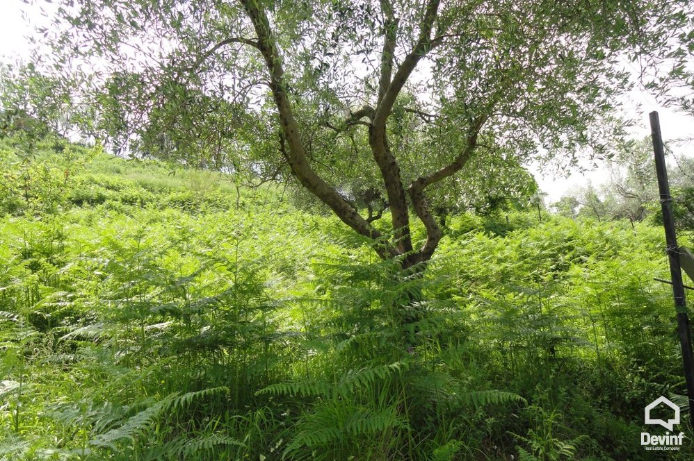 Tirane For Sale Land  The land is located near the Artificial Lake of Tirana. Building Plot