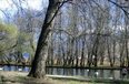Pogradec For Sale Land  The land is located near Drilon, in Pogradec. Coast Land