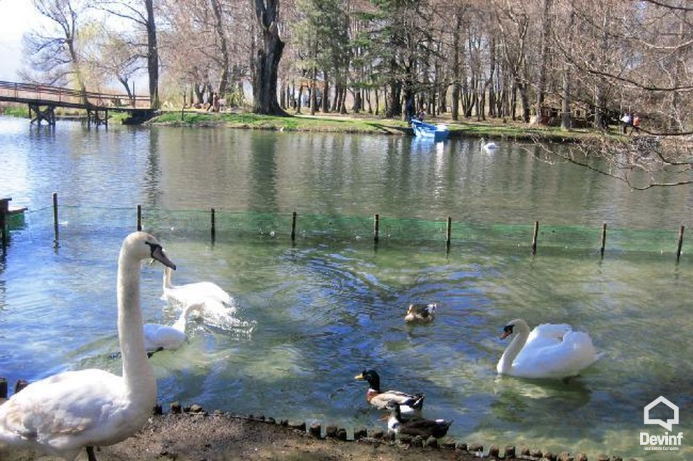 Pogradec For Sale Land  The land is located near Drilon, in Pogradec. Coast Land