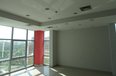 Tirane For Rent Multifunctional Building  Tirana-Durres Highway Office Multifunctional Building