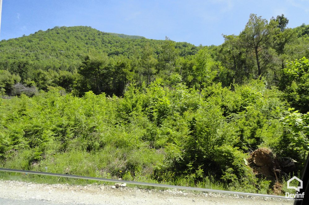 Tirane For Sale Land  Close to the National Park of Dajt Building Plot