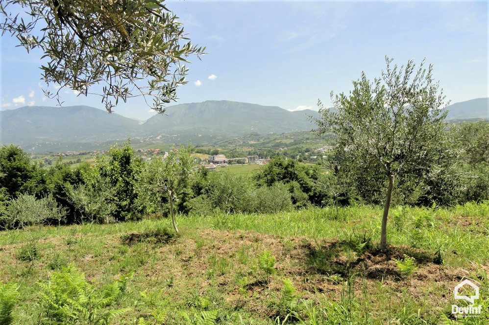 Tirane Shitje Toke  Mjull-Bathore, ne zonen e komunes se Farkes. toke per ndertim toke per agroturizem